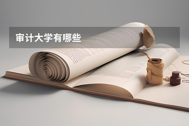 审计大学有哪些
