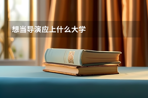 想当导演应上什么大学