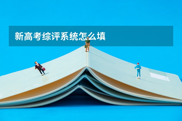 新高考综评系统怎么填