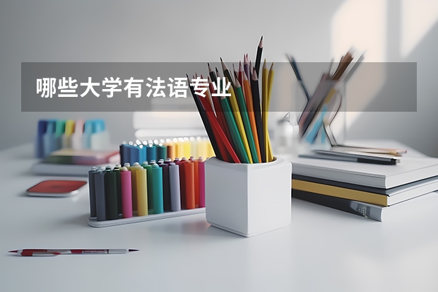 哪些大学有法语专业