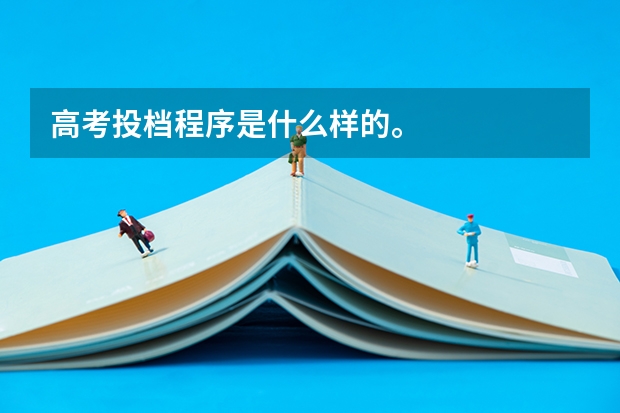 高考投档程序是什么样的。