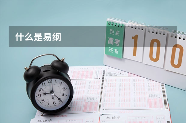 什么是易纲