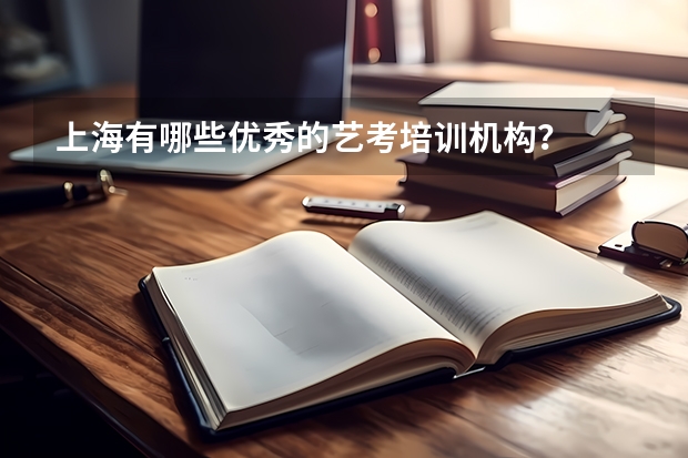 上海有哪些优秀的艺考培训机构?
