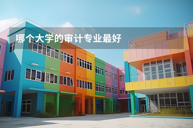 哪个大学的审计专业最好