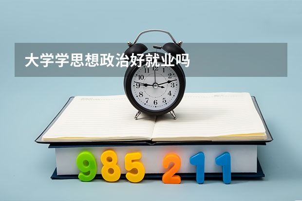 大学学思想政治好就业吗